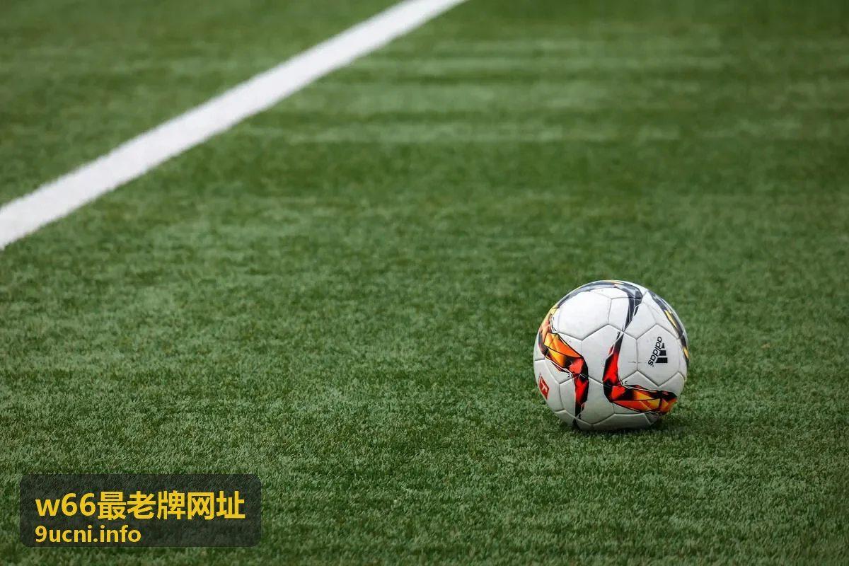 w66最老牌网址入口分类方式